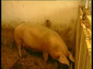 Es lebe das landleben - baeuerin sunt schweinestall gefickt